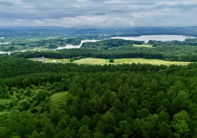 2nd image of 847 Eads Bluff Rd Nw, Georgetown, TN 37336 | MLS# 1539041