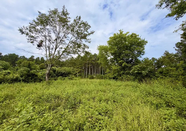 3rd image of 847 Eads Bluff Rd Nw, Georgetown, TN 37336 | MLS# 1539041