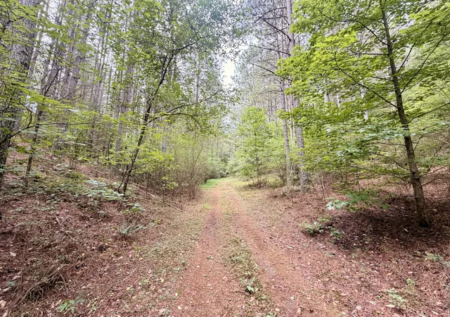 4th image of 847 Eads Bluff Rd Nw, Georgetown, TN 37336 | MLS# 1539041