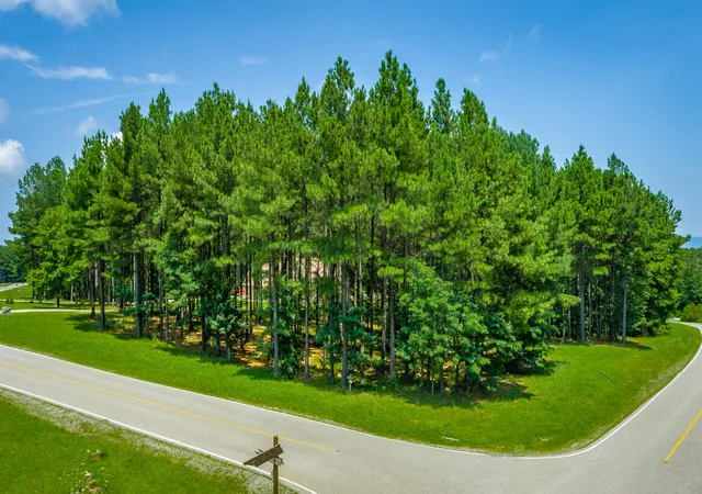 Land for sale at 0 River Blfs Dr #Rb74, Jasper, TN 37347 | MLS# 1539692
