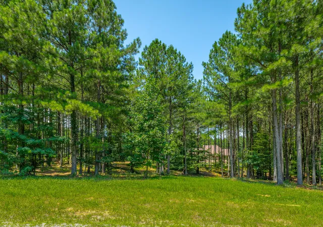 Photo 3 of Land for sale at 0 River Blfs Dr #Rb74, Jasper, TN 37347 | MLS# 1539692 | Listing updated on 2026-10-09
