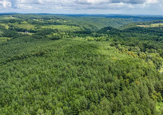 20th image of 0 Coca Cola Rd #Lots 2 And 3, Dunlap, TN 37327 | MLS# 1538893