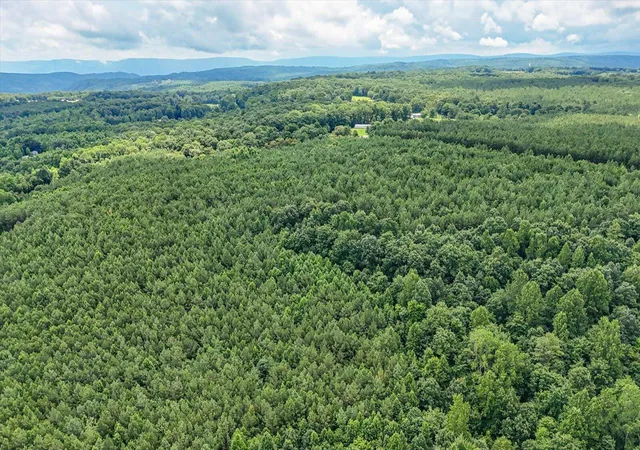 5th image of 0 Coca-Cola Rd #Lots 2 And 3, Dunlap, TN 37327 | MLS# 1538893