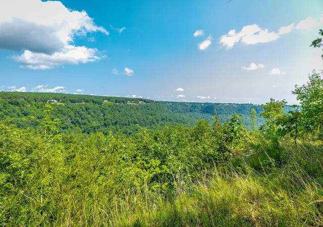 1st image of 0 Crockett Loop #Jf65, Jasper, TN 37347 | MLS# 1539686