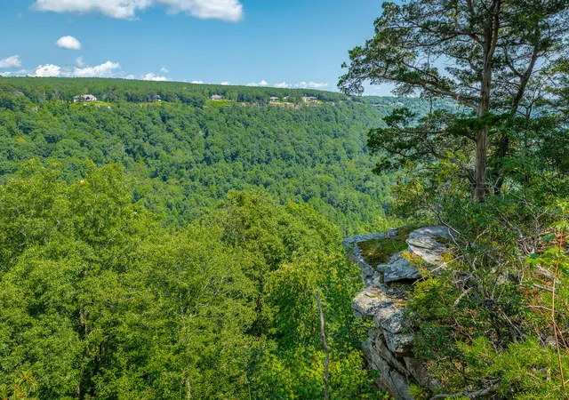Photo 3 of Land for sale at 0 Crockett Loop #JF65, Jasper, TN 37347 | MLS# 1539686 | Listing updated on 2026-08-04