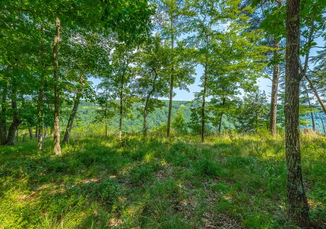 Photo 3 of Land for sale at 0 Crockett Loop #JF65, Jasper, TN 37347 | MLS# 1539686 | Listing updated on 2026-08-04
