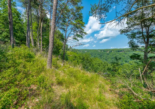 Photo 4 of Land for sale at 0 Crockett Loop #JF65, Jasper, TN 37347 | MLS# 1539686 | Listing updated on 2026-08-04