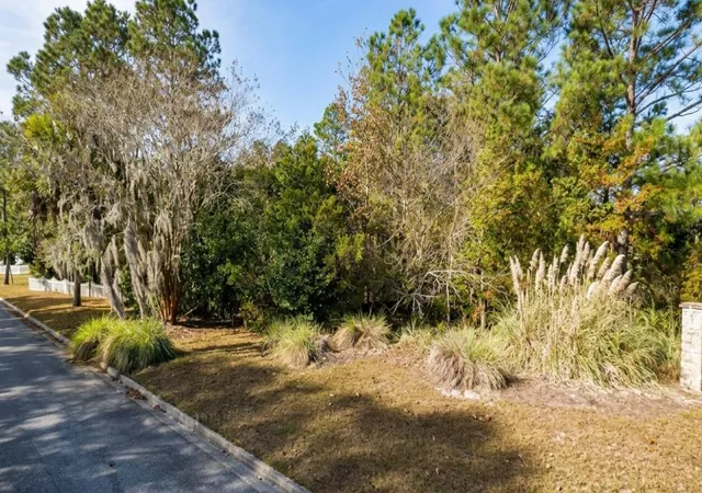 2nd image of 0 Terrel Mill Rd, Savannah, GA 31419 | MLS# 1538973