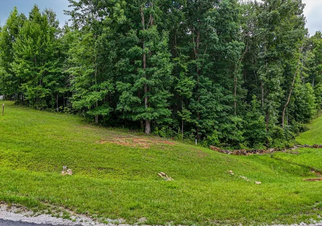 Photo 3 of Land for sale at 0 River Blfs Dr #Lot 26, Jasper, TN 37347 | MLS# 1539117 | Listing updated on 2026-09-22