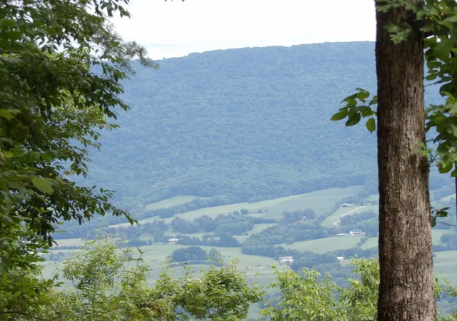 Photo 1 of Land for sale at 108 Gray Rock View, Pikeville, TN 37367 | MLS# 1539226 | Listing updated on 2026-07-22