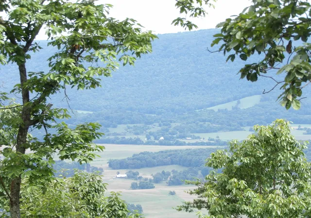 Photo 2 of Land for sale at 108 Gray Rock View, Pikeville, TN 37367 | MLS# 1539226 | Listing updated on 2026-07-22