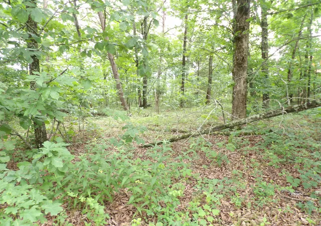 Photo 3 of Land for sale at 108 Gray Rock View, Pikeville, TN 37367 | MLS# 1539226 | Listing updated on 2026-07-22