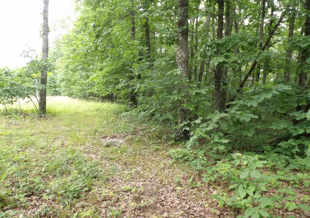 Photo 4 of Land for sale at 108 Gray Rock View, Pikeville, TN 37367 | MLS# 1539226 | Listing updated on 2026-07-22