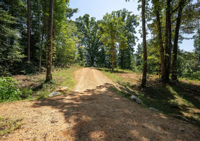 1st image of 1434 Ac Church St, Valley Head, AL 35989 | MLS# 1539253