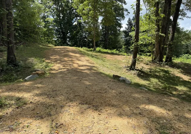 3rd image of 1434 Ac Church St, Valley Head, AL 35989 | MLS# 1539253