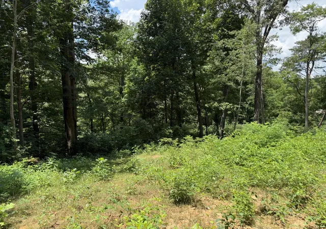 5th image of 1434 Ac Church St, Valley Head, AL 35989 | MLS# 1539253