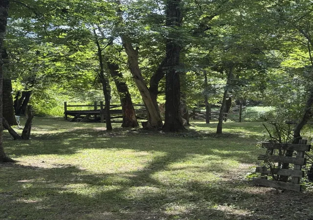Photo 4 of Sale Pending at 0 Catoosa Pkwy, Ringgold, GA 30736 | MLS# 1539399 | Listing updated on 2026-08-18