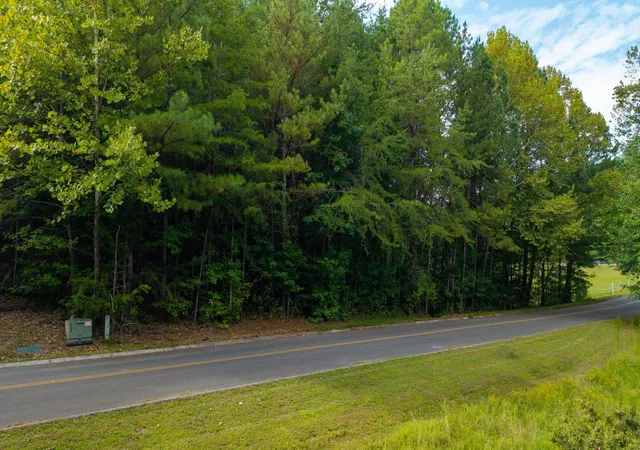 4th image of 493 Mowery Cir Nw, Charleston, TN 37310 | MLS# 1539409
