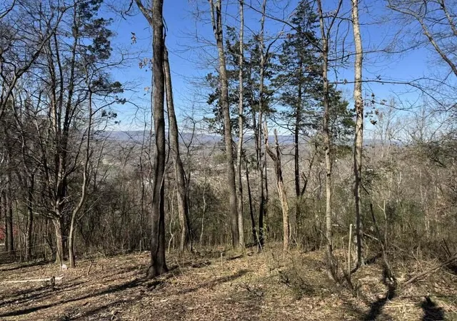 Photo 3 of Land for sale at 6829 Big Ridge Rd, Hixson, TN 37343 | MLS# 1539475 | Listing updated on 2026-09-05