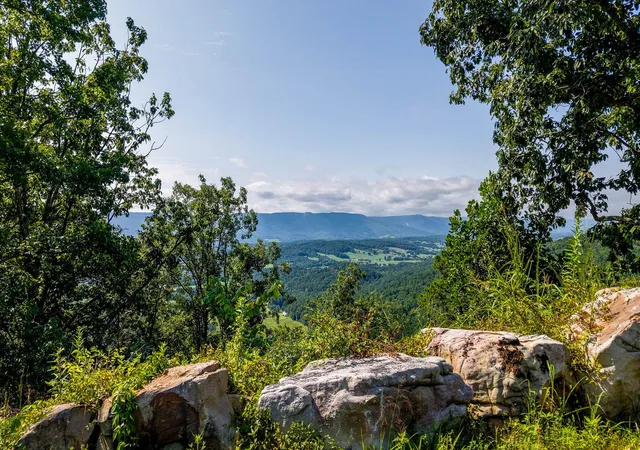 1st image of 0 Lee Station Mountain Road Road #080 022.00, Pikeville, TN 37367 | MLS# 1539882