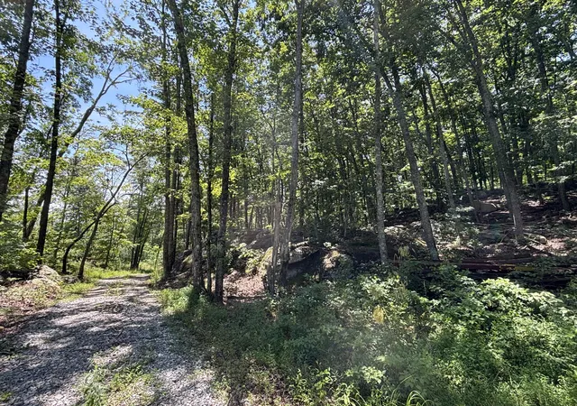 2nd image of 0 Lee Station Mountain Road Road #080 022.00, Pikeville, TN 37367 | MLS# 1539882