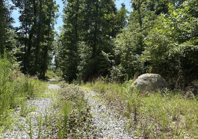 Photo 3 of Land for sale at 0 Lee Sta Mountain Rd, Pikeville, TN 37367 | MLS# 1539882 | Listing updated on 2026-08-06