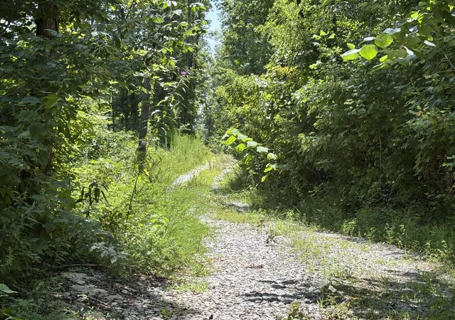 Photo 3 of Land for sale at 0 Lee Sta Mountain Rd, Pikeville, TN 37367 | MLS# 1539882 | Listing updated on 2026-08-06