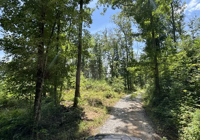 Photo 4 of Land for sale at 0 Lee Sta Mountain Rd, Pikeville, TN 37367 | MLS# 1539882 | Listing updated on 2026-08-06