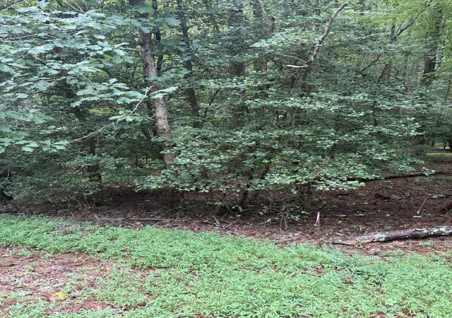 Photo 1 of Land for sale at 308 Creekside Trl, Ellijay, GA 30540 | MLS# 1540100 | Listing updated on 2026-08-05