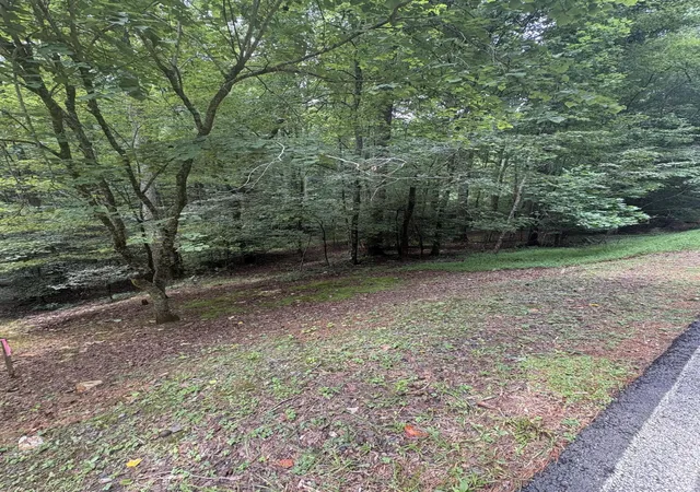 Photo 2 of Land for sale at 308 Creekside Trl, Ellijay, GA 30540 | MLS# 1540100 | Listing updated on 2026-08-05