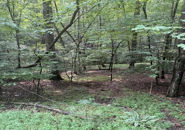 Photo 3 of Land for sale at 308 Creekside Trl, Ellijay, GA 30540 | MLS# 1540100 | Listing updated on 2026-08-05