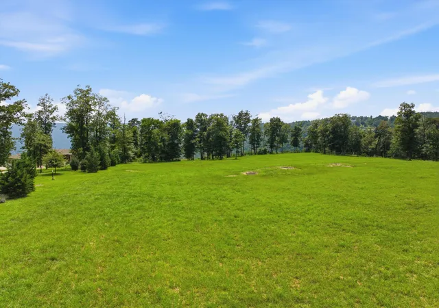2nd image of 0 Raulston Falls #Sv 7a/S, Jasper, TN 37347 | MLS# 1539540