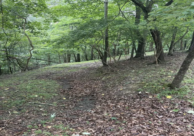 Photo 1 of Land for sale at 422 Zeblin Rd, Ellijay, GA 30540 | MLS# 1540101 | Listing updated on 2026-08-05
