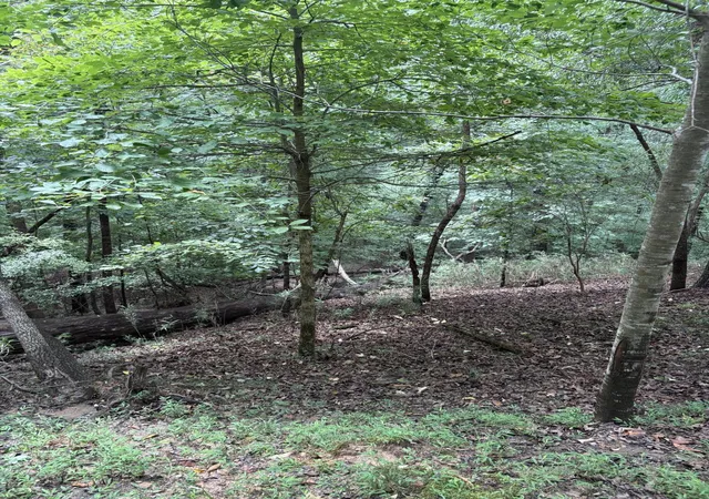 Photo 2 of Land for sale at 422 Zeblin Rd, Ellijay, GA 30540 | MLS# 1540101 | Listing updated on 2026-08-05