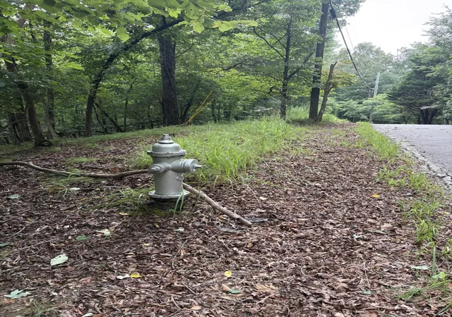 Photo 4 of Land for sale at 422 Zeblin Rd, Ellijay, GA 30540 | MLS# 1540101 | Listing updated on 2026-08-05