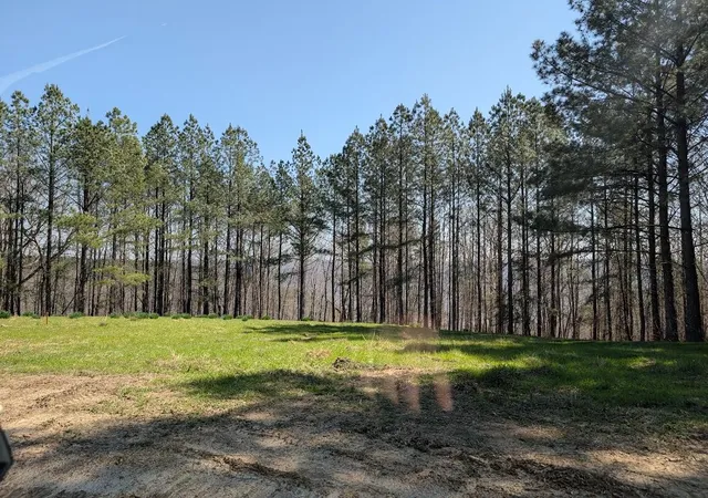 Photo 3 of Land for sale at Lot 2241 Riverbend Rd, Guild, TN 37340 | MLS# 1539576 | Listing updated on 2026-09-01