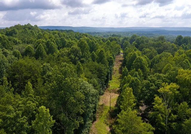 16th image of O Green Town Rd #0, Tracy City, TN 37387 | MLS# 1539573