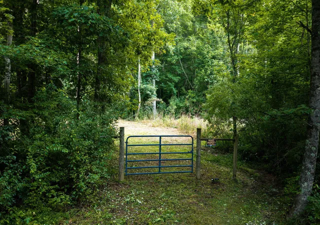 3rd image of O Green Town Rd #0, Tracy City, TN 37387 | MLS# 1539573