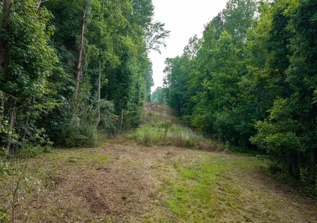 4th image of O Green Town Rd #0, Tracy City, TN 37387 | MLS# 1539573