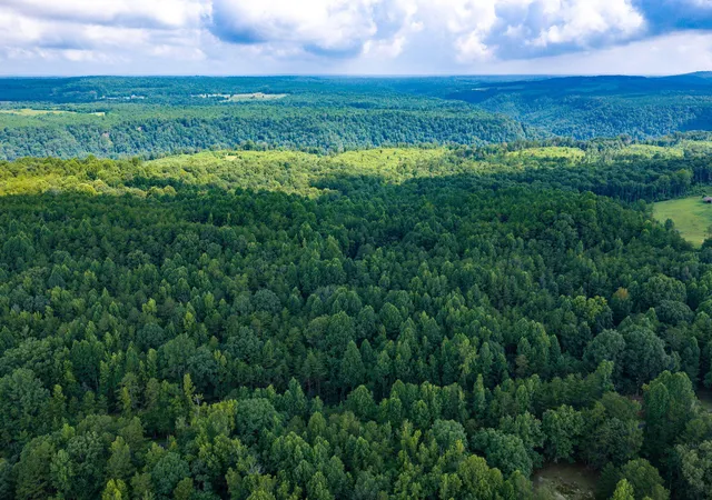5th image of O Green Town Rd #0, Tracy City, TN 37387 | MLS# 1539573