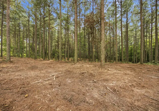 4th image of 2023 Crescent Ct, Guild, TN 37340 | MLS# 1540085
