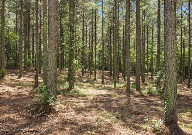 5th image of 2023 Crescent Ct, Guild, TN 37340 | MLS# 1540085