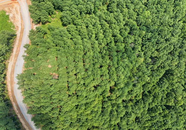 4th image of Lot 2024 Crescent Rd, Guild, TN 37340 | MLS# 1540105