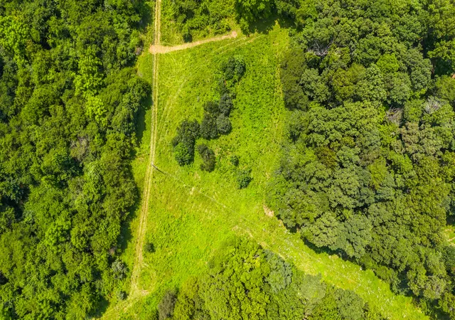 3rd image of 0 Lodge Point Rd, South Pittsburg, TN 37380 | MLS# 1539750