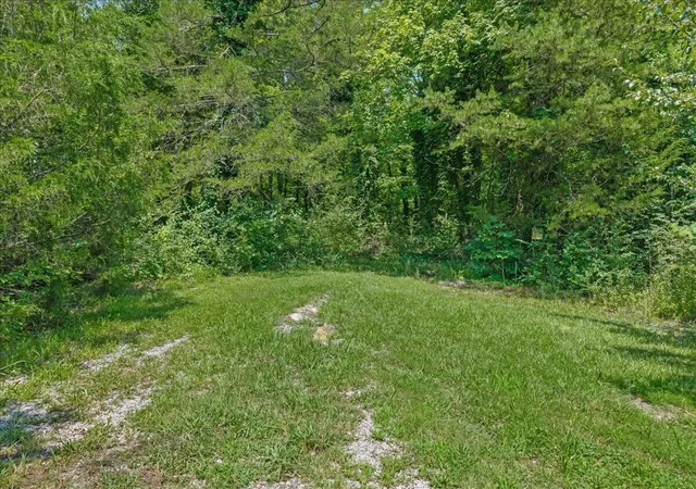 3rd image of 000 Thacker St, Etowah, TN 37331 | MLS# 1539661