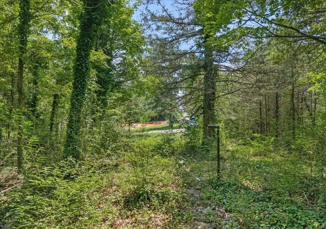 4th image of 000 Thacker St, Etowah, TN 37331 | MLS# 1539661