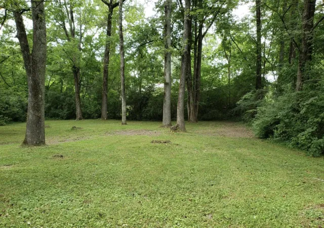 17th image of 4519 Rogers Rd, Chattanooga, TN 37411 | MLS# 1539675