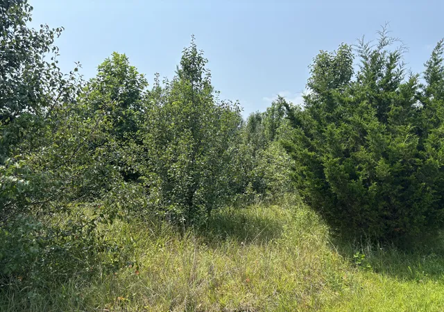 Photo 3 of Land for sale at 0 S R 8 Dr, Dunlap, TN 37327 | MLS# 1539681 | Listing updated on 2026-07-29