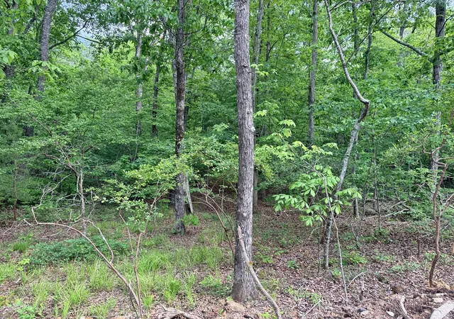 23rd image of 321 Lakeside Dr, Graysville, TN 37338 | MLS# 1539823