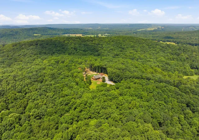 47th image of 274 Greenwood Ln, Pikeville, TN 37367 | MLS# 1539864